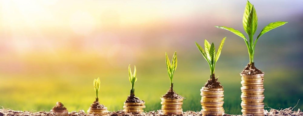 Sprouts growing on coins