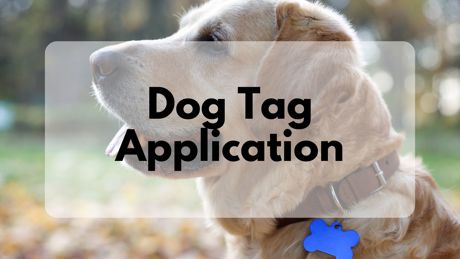 Link to Dog Tag Application