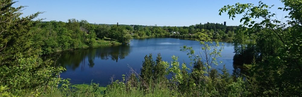 Mill Pond Forest Trails view of Mill Pond